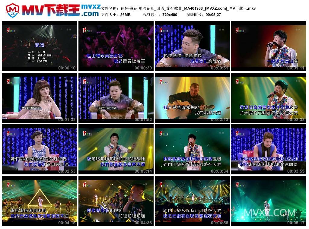 孙楠-绒花 那些花儿_国语_流行歌曲_MA401938